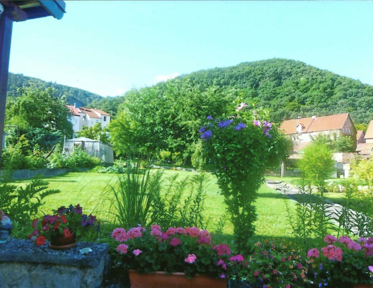 Ferienwohnung Bergblick - Inklusive Bodetal Therme Thale Eksteriør billede