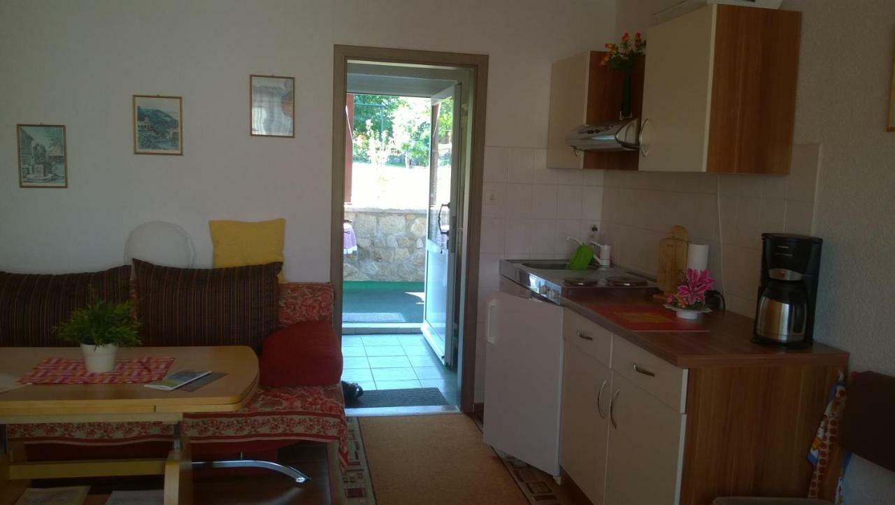 Ferienwohnung Bergblick - Inklusive Bodetal Therme Thale Eksteriør billede